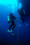Divers on the hang line.jpg (53580 bytes)